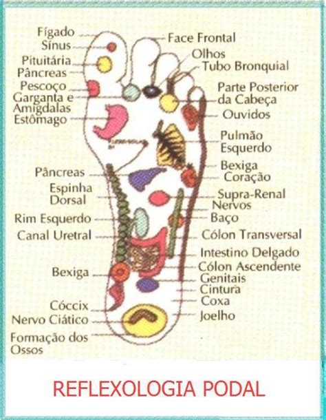 Reflexologia Podal Reflexologia Massagem Nos P S T Cnicas De Massagem