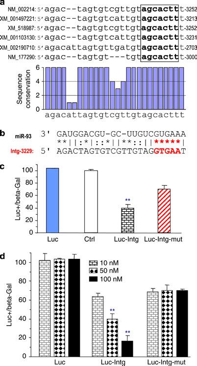 Targeting Of Integrin By Mir Expression A Alignment Of The