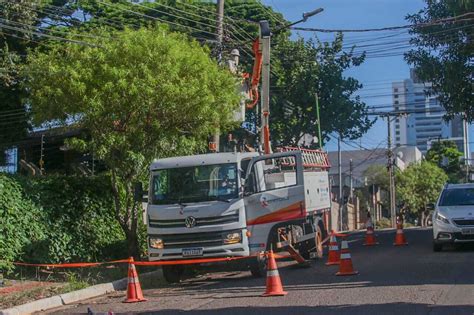 P Ssaro Na Rede Provocou Rompimento De Cabos E Falta De Luz Em Campo