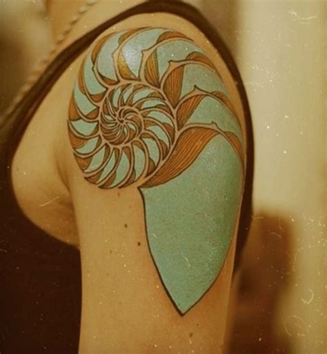 14 best Spiral Shell Tattoo images on Pinterest | Conch shell tattoos ...