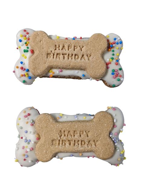 Happy Birthday Bone Cookie Dog Treat For Doggy Birthday Times