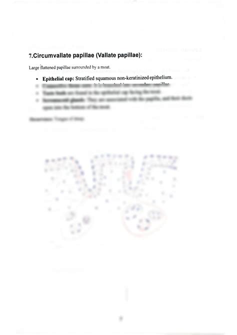 SOLUTION: Histology of circumvallate papillae - Studypool