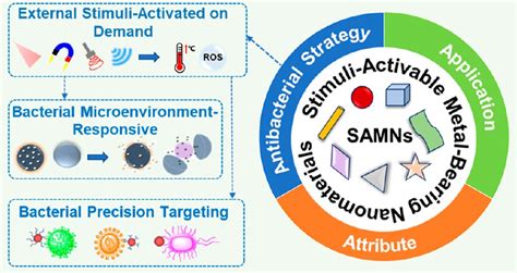 纳米人 Acs Nano综述：刺激激活的金属纳米材料用于精准按需的抗菌治疗