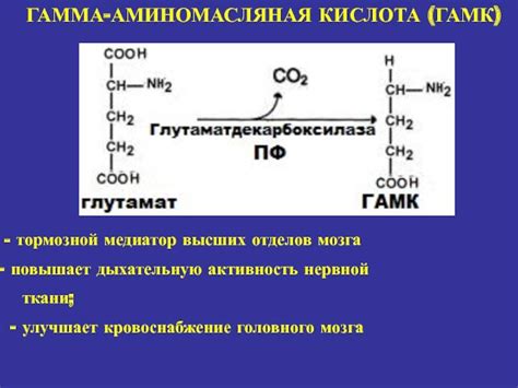 Gaba (гамма-аминомасляная кислота): как принимать, отзывы