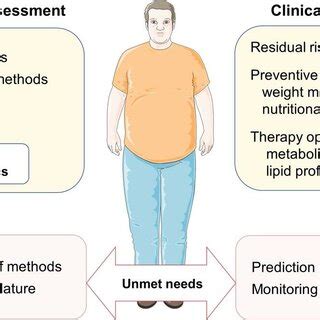 The Effects Of Glycated LDL Particles On Vascular Cells The Figure Was