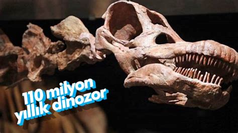 Arjantinde Yeni Bir Dinozor T R Bulundu