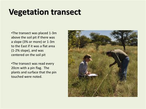 ecological sites  state  transition models   caldenal