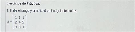 Solved Ejercicios de Práctica Halle el rango y la nulidad de Chegg