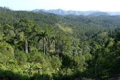 Sierra Maestra (Cuba) - EcuRed