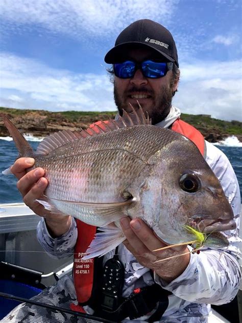 Snapper Fly Lure Fishing Records DECKEE Community