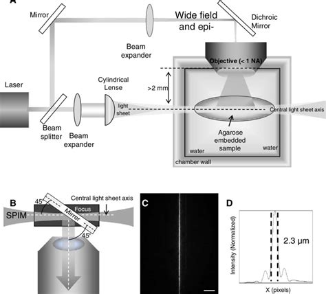 Spim Setup And Signal Characterization A Experimental Diagram Of The