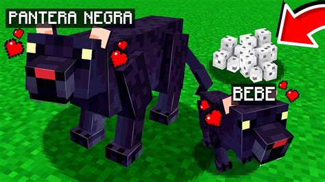 Adotei Uma Pantera Negra No Minecraft Youtube