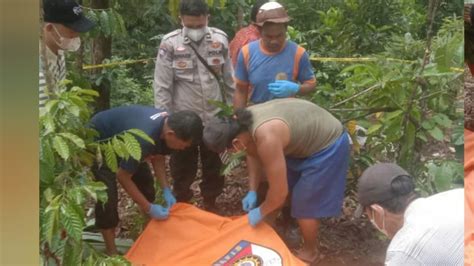 Kakek Di Lubuk Linggau Ditemukan Tak Bernyawa Di Kebun Kopi Polisi Ungkap Kronologis Dan