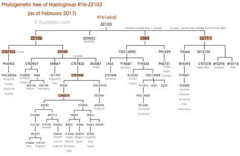 Haplogroup R1b Y Dna Eupedia