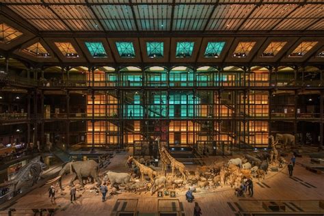 Visiter Le Mus Um National D Histoire Naturelle Billets Et Infos