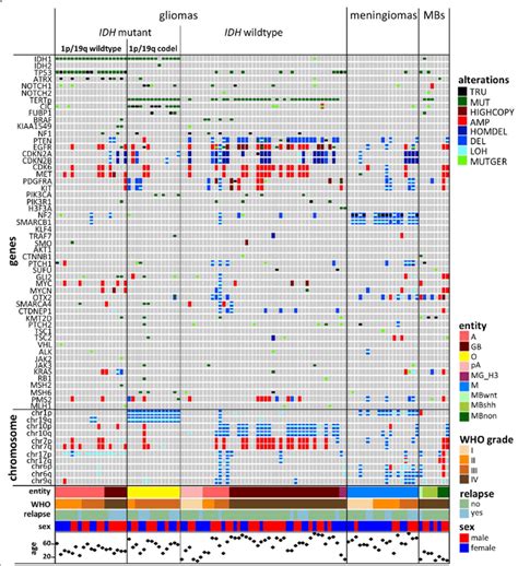 Overview Of The Dna Panel Ngs Results Molecular Alterations Per Case