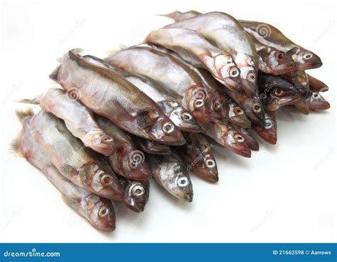 Sprotten Der Frischen Fische Stockfoto Bild Von Bestandteile