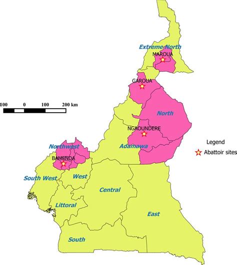 Cameroon Political Map