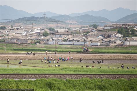Жизнь в Северной Корее без прикрас - фотоблог о путешествиях