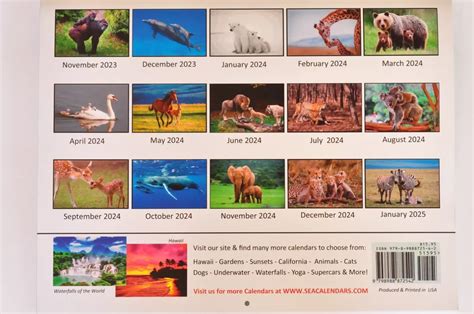 2024 Baby Animals Calendar - Amii Lynsey