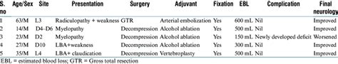 Summary Of Patient Demographic Clinical Characteristics And