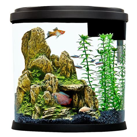 Top Fin Bowfront Aquarium & Stand Ensemble – 36 Gallon – Select Pet Shop