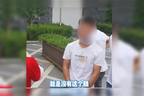 男子涉嫌诈骗逃亡多年，向民警哭诉：我早就想自首了 诈骗 男子