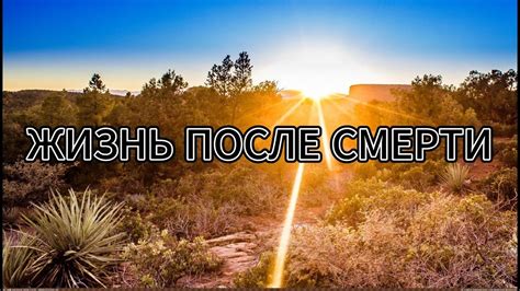 Жизнь после Смерти - YouTube