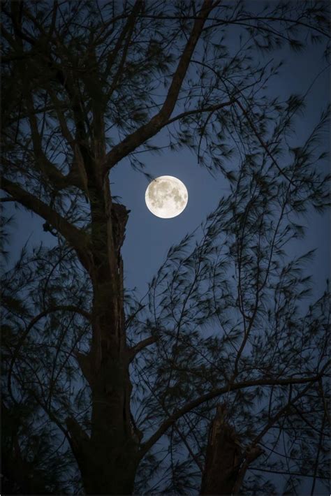 Thailand | Moon photography, Moon pictures, Phone background wallpaper