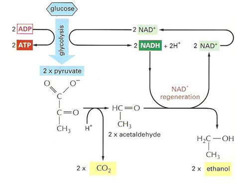 Acetaldehyde