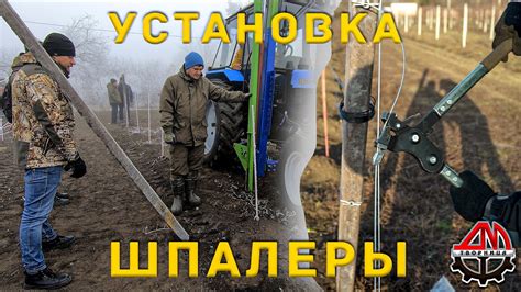 Установка шпалеры - YouTube
