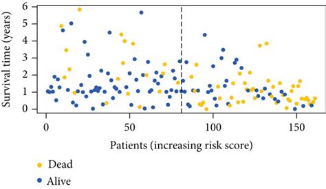 Performance of ERG-based classifier (ERC). (a, b) Layout of risk scores ...