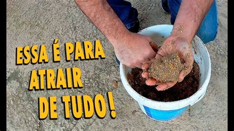 COMO FAZER UMA CEVA ESPECIAL PARA VÁRIOS TIPOS DE PEIXES YouTube