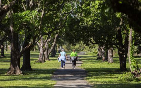 Larry Penny Thompson Park Greater Miami Miami Beach