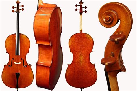 9 Best Cello Brands for Beginners and Professionals 2023 (Reviews ...