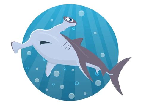 Hammerhead Shark Stock Vector Nearbirds