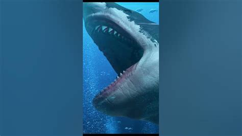 4 Reasons Why Megalodon Sharks Not Exist Megalodon Sharks Shorts Youtube