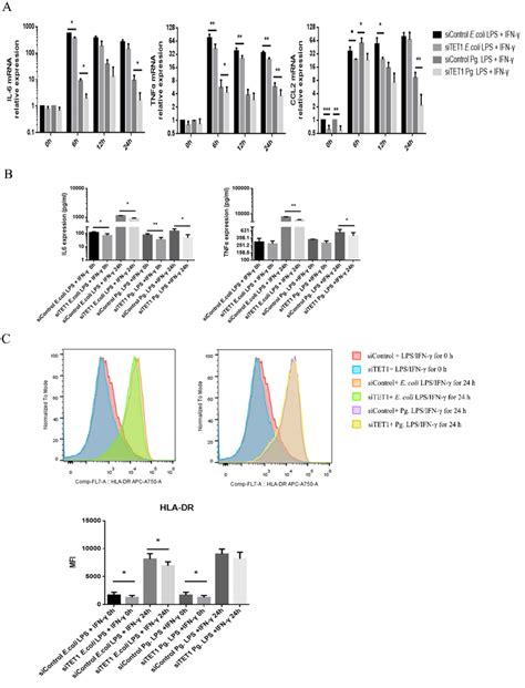 The Effect Of Tet1 Knockdown On Proinflammatory Markers Expressed