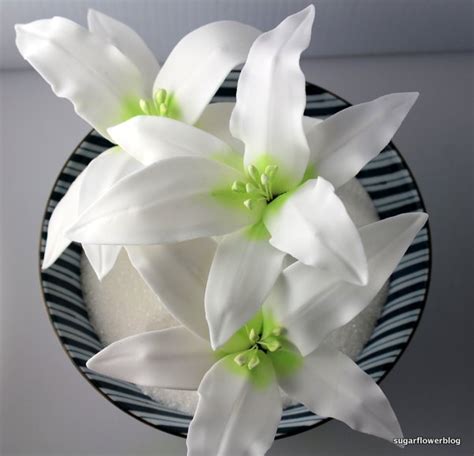 How To Make Fondant Water Lily Flowers Best Flower Site