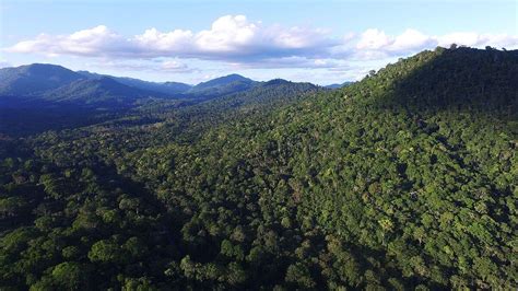 The Atlantic Forest Exploring Its Biodiversity Challenges LAC Geo