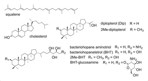 Structures of selected hopanoids, cholesterol, and squalene. DOI ...