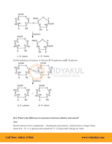 Class 12th Chemistry Biomolecules Ncert Notes Cbse 2023