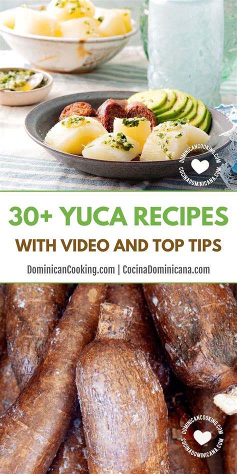 20 Yuca Recipes How To Cook It And Essential Cassava Guide Recipe Yuca Recipes Yuca Recipes