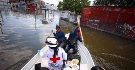 El Olor A Muerte Inunda Las Viviendas