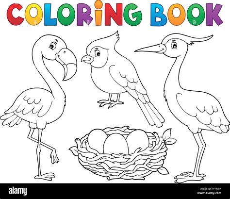 Livre De Coloriage Oiseau Sujet 1 Eps10 Vector Illustration Image