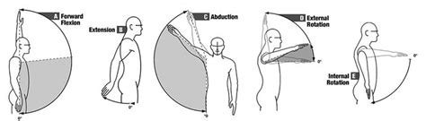 Normal Shoulder Range Of Motion And How To Improve