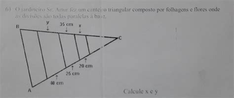 Solved 6 O Jardineiro Sr Artur Fez Um Canteiro Triangular Composto