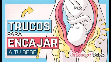 Trucos Para Encajar A Tu Beb En La Pelvis Youtube