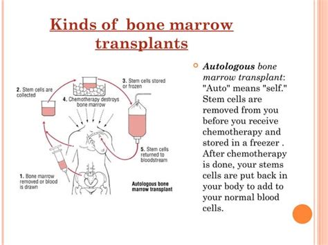 Bone Marrow Ppt