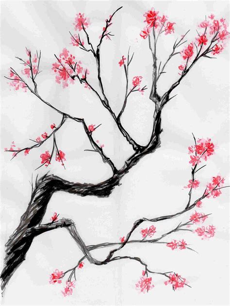 Cherry Blossom Tree Branch Drawing At Paintingvalley Explore